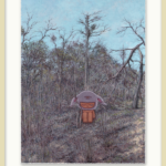 Framed Preview