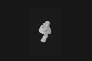 Smiley Mushroom- Form Stirring Implement